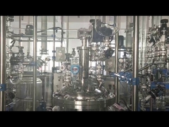 CHEMISCHER GLASREAKTOR